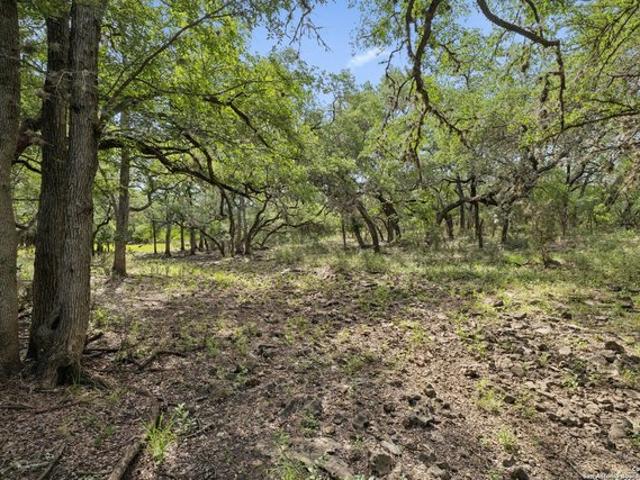 Farm for sale in Medina, Texas