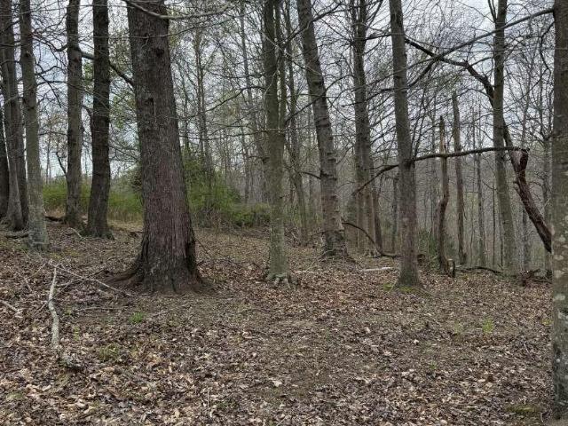 Land for sale in Edmonton, Kentucky