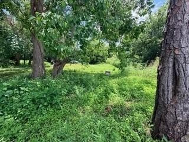 Land for sale in New Orleans, Louisiana
