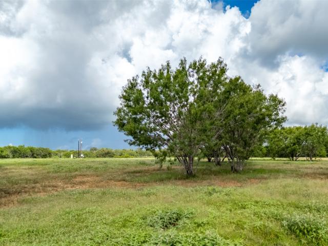 Land for sale in Luling, Texas