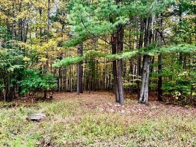 Land for sale in Beaverton, Michigan