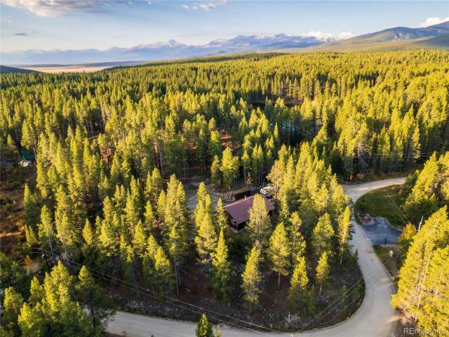 House for sale in Leadville