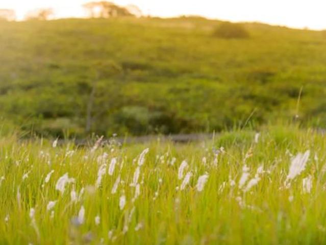 Land for sale in Ballito, KwaDukuza Local Municipality
