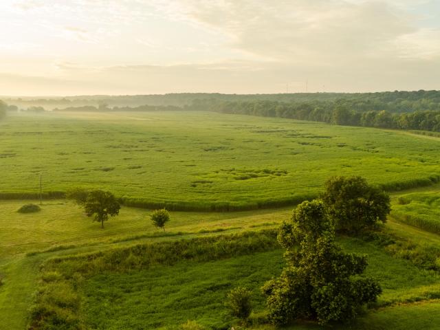 Farm for sale in Reeds, Missouri