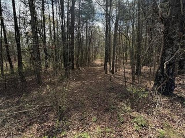 Land for sale in Catawba, North Carolina
