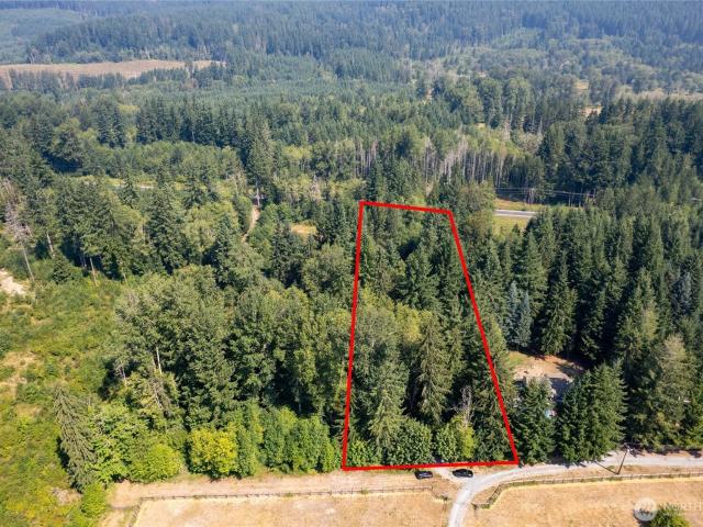 Land for sale in Elbe, Washington