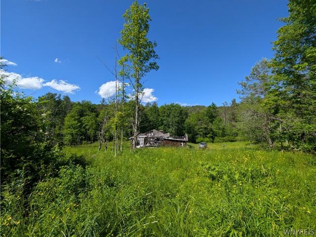 Land for sale in Franklinville, New York