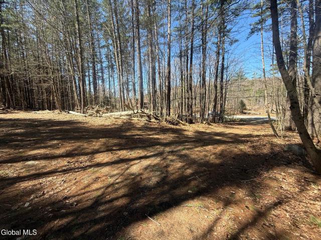Land for sale in Chestertown, New York