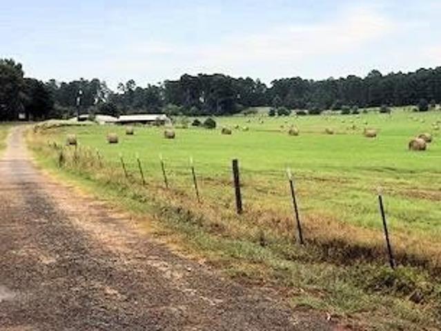 Land for sale in Palestine, Texas