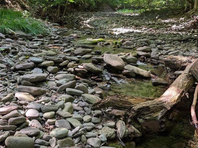 House for sale in Acra, New York