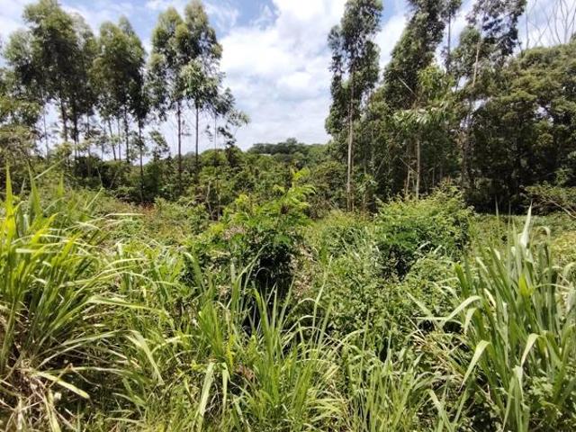 Land for sale in Ugu District Municipality, Kwazulu-natal