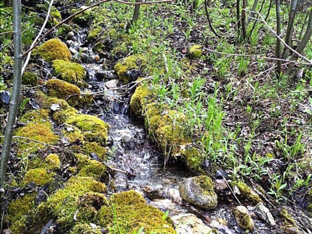 Land for sale in British Columbia