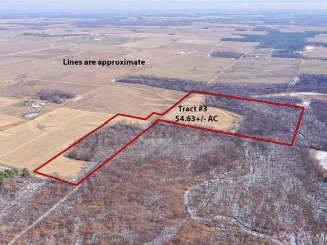Land for sale in New Athens, Illinois