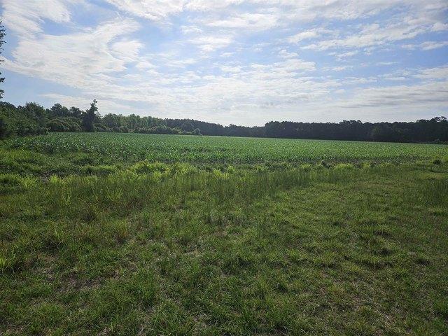 Farm for sale in Nichols, South Carolina
