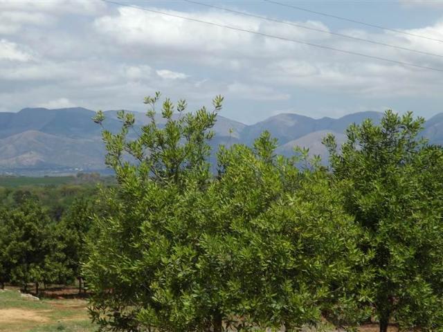 Farm for sale in Ehlanzeni, Mpumalanga