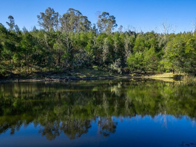 Land for sale in Brogo, New South Wales