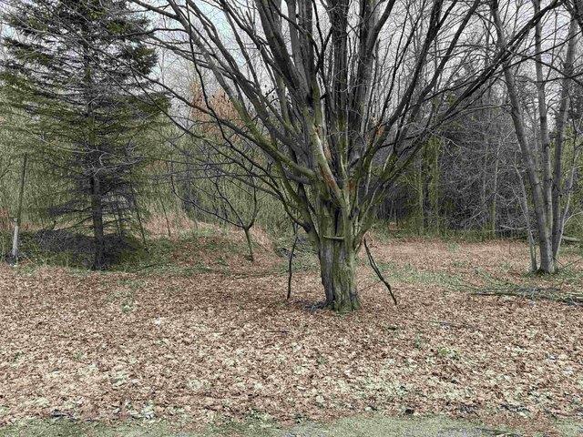 Land for sale in Grand Isle, Vermont