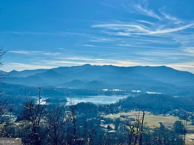 Land for sale in Hiawassee, Georgia