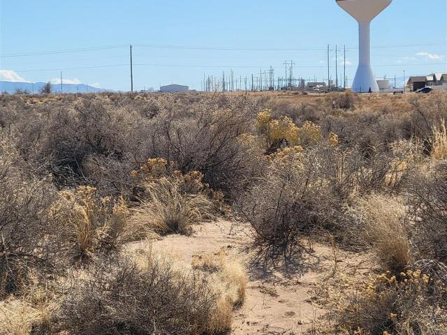 Land for sale in Alamosa, Colorado