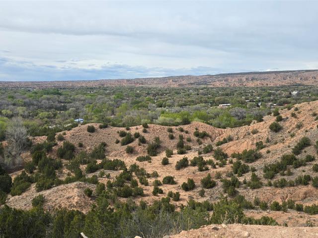 Land for sale in New Mexico