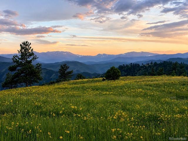 House for sale in Livermore, Colorado