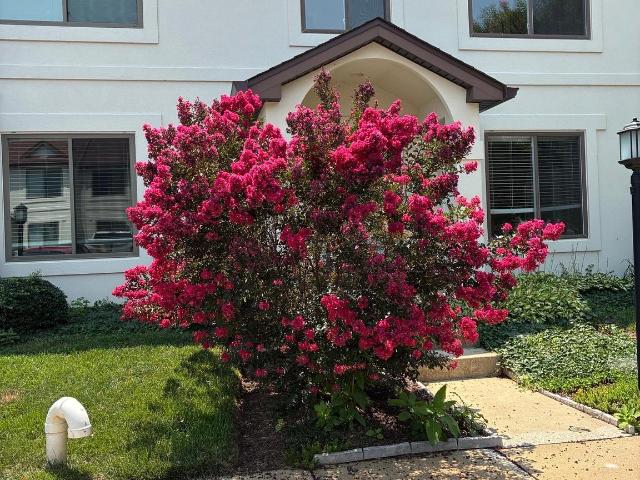 Townhouse for sale in Chester, Maryland