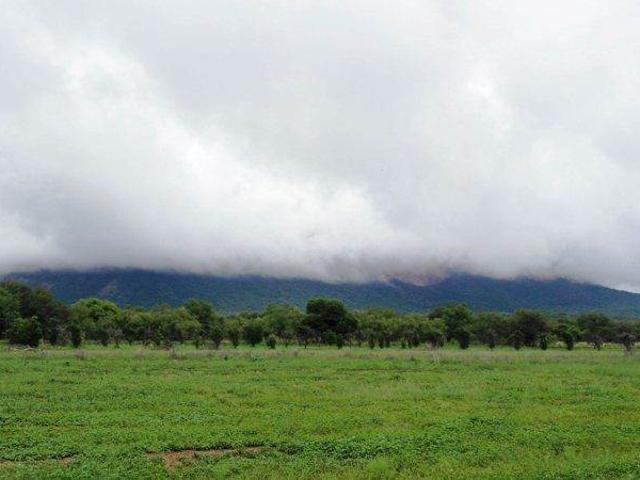 Farm for sale in Potgietersrus, Limpopo