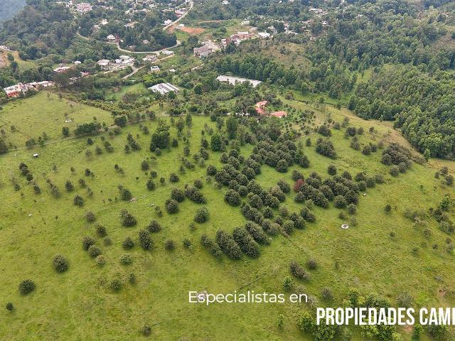 Departamento en venta en Xicotepec, Puebla