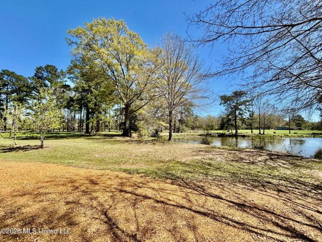 House for sale in Tylertown, Mississippi
