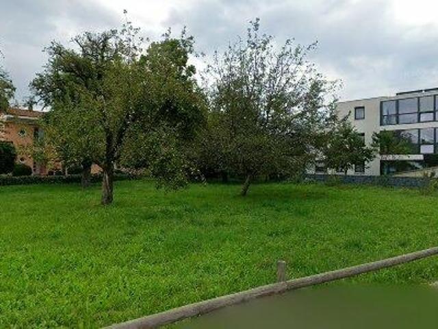 Apartment mieten in Fußach, Vorarlberg