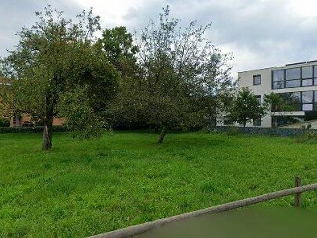 Apartment mieten in Fußach, Vorarlberg