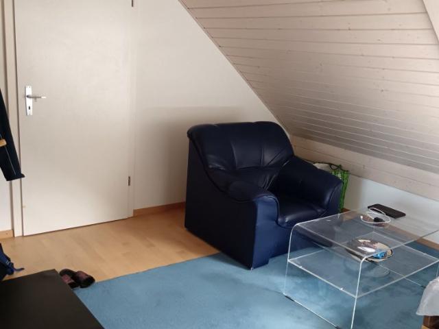 Studio mieten in Crissier, Waadt