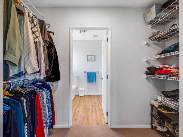 Property for sale in Waikari, Canterbury