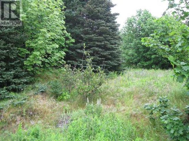 Land for sale in Manuels, Newfoundland And Labrador