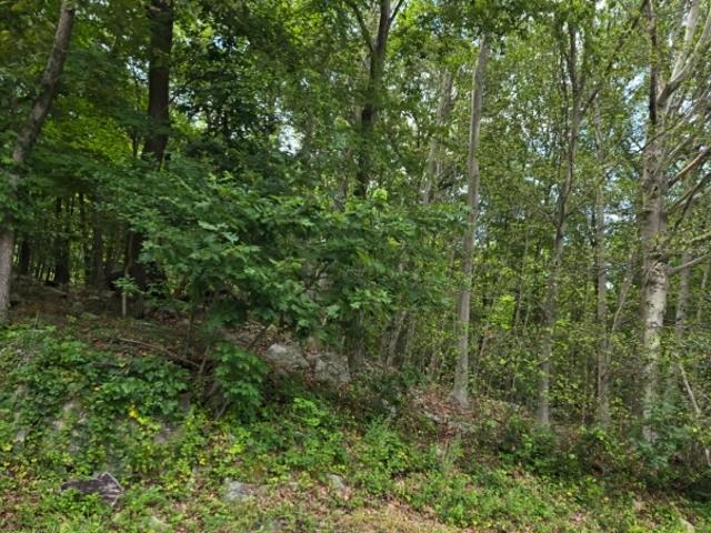 Property for sale in Glasser, New Jersey