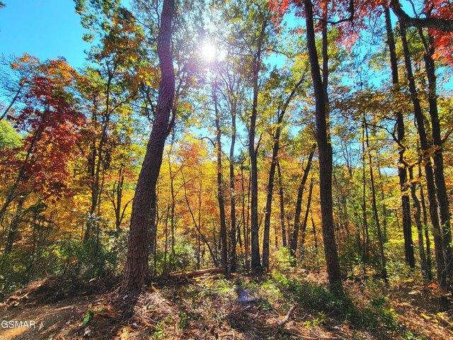 Land for sale in Tennessee