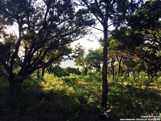Land for sale in Concan, Texas