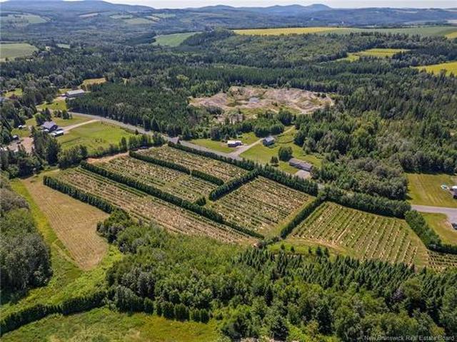 Land for sale in Grand Falls, New Brunswick