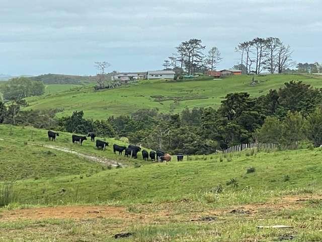 Property for sale in Topuni, Northland