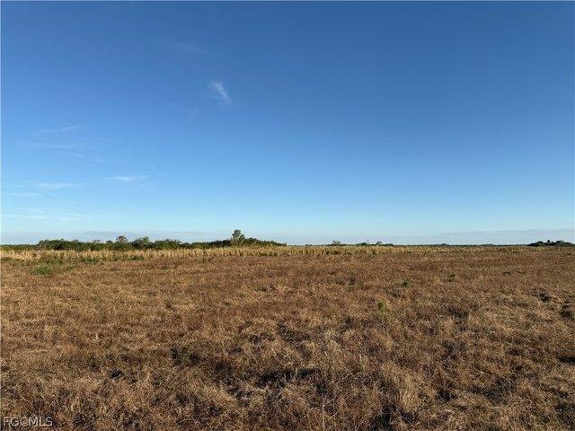 Land for sale in Labelle, Florida