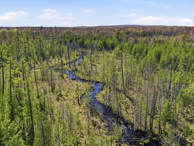 Land for sale in White Cloud, Michigan
