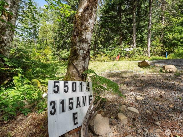 Land for sale in Ashford, Washington
