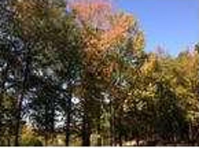 House for rent in Wetumpka, Elmore County