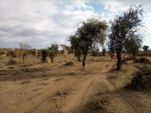 Land for sale