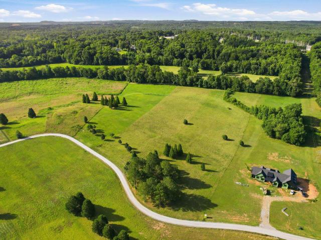 Land for sale in Campobello, South Carolina