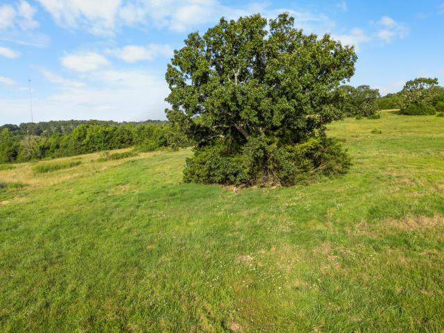 Land for sale in Theodosia, Missouri