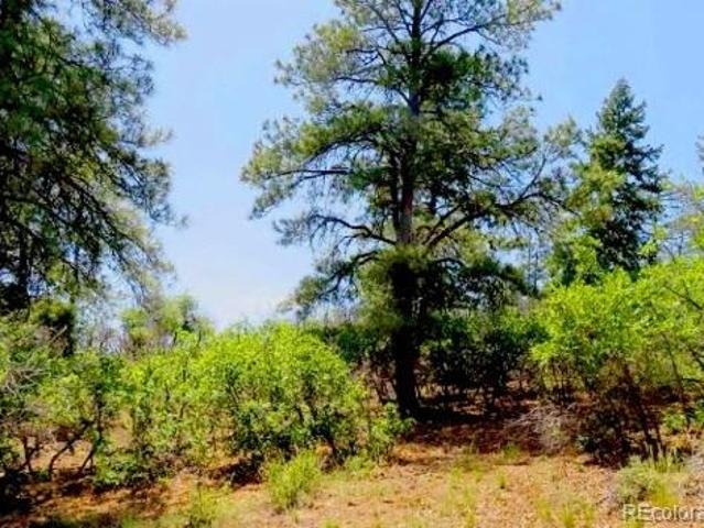 Land for sale in Pagosa Springs, Colorado
