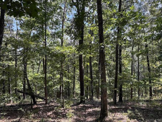 Land for sale in Ark