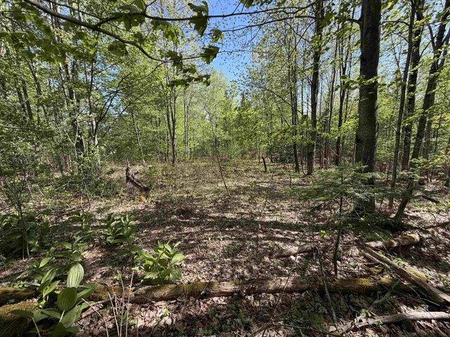 Land for sale in Coventry, Vermont
