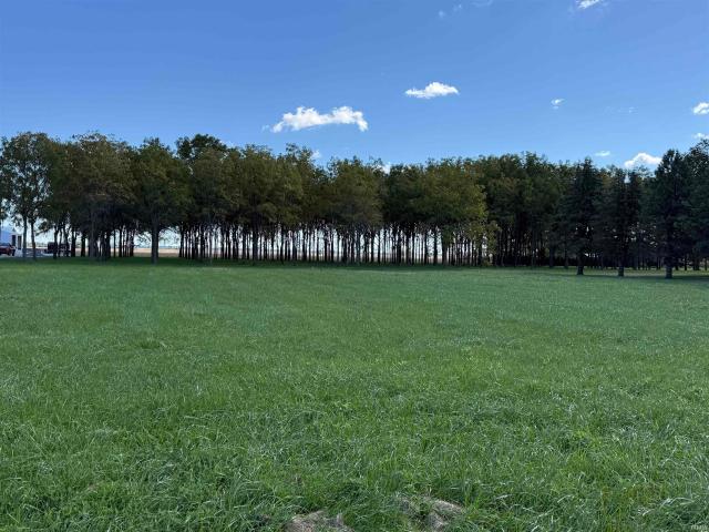 Land for sale in Francesville, Pulaski County